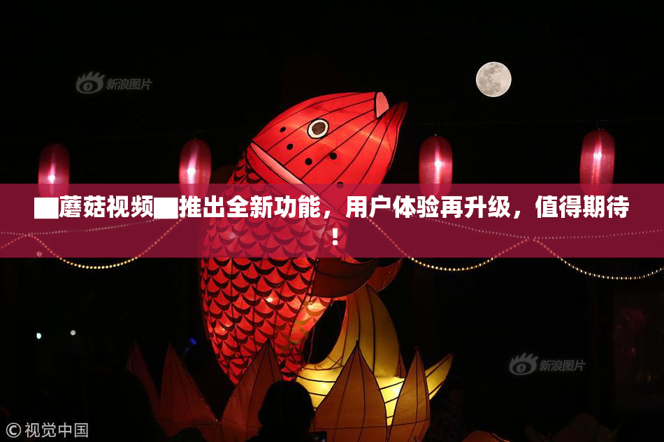 ▇蘑菇视频▇推出全新功能，用户体验再升级，值得期待！