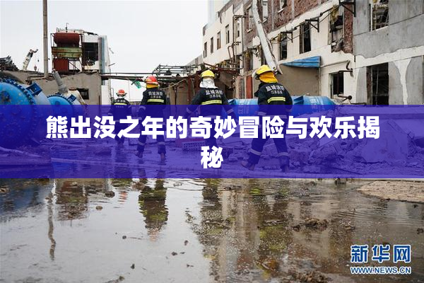 熊出没之年的奇妙冒险与欢乐揭秘