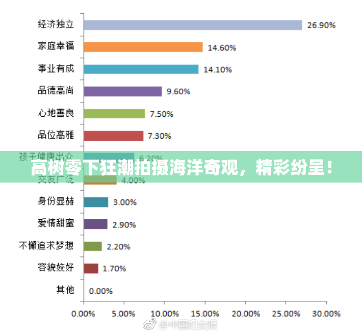 高树零下狂潮拍摄海洋奇观，精彩纷呈！