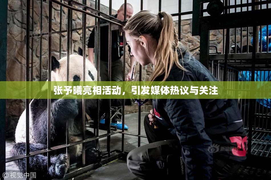 张予曦亮相活动，引发媒体热议与关注
