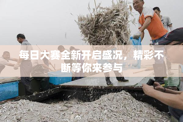 每日大赛全新开启盛况，精彩不断等你来参与