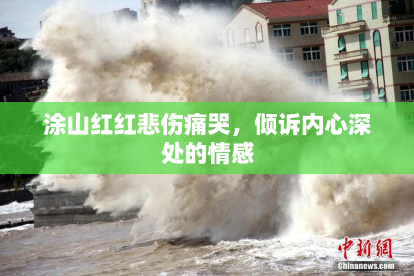 涂山红红悲伤痛哭，倾诉内心深处的情感