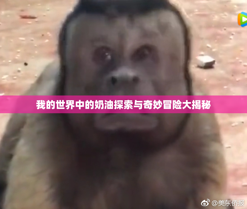 我的世界中的奶油探索与奇妙冒险大揭秘