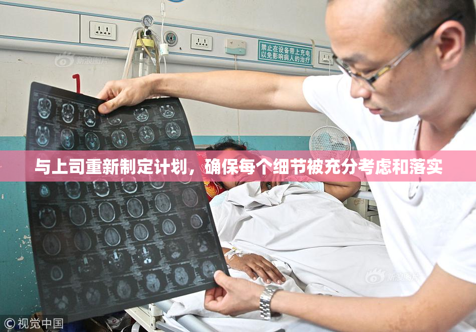 与上司重新制定计划，确保每个细节被充分考虑和落实