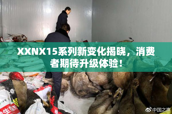 XXNX15系列新变化揭晓，消费者期待升级体验！