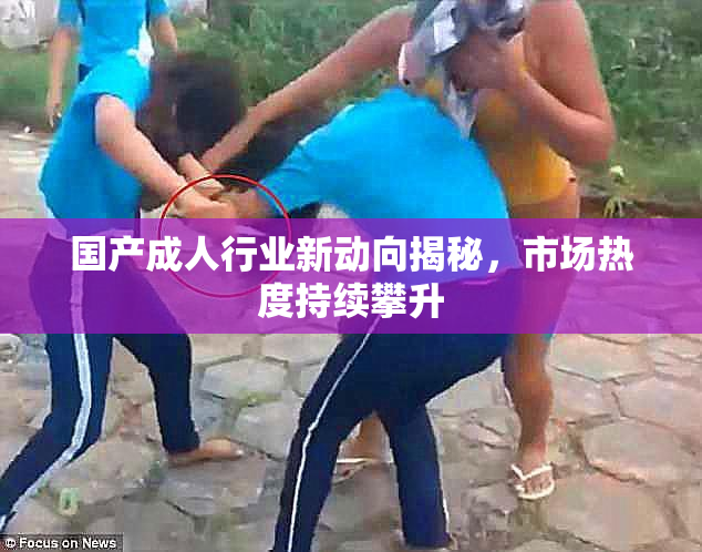 国产成人行业新动向揭秘，市场热度持续攀升