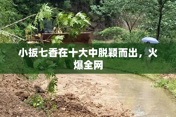小扳七香在十大中脱颖而出，火爆全网