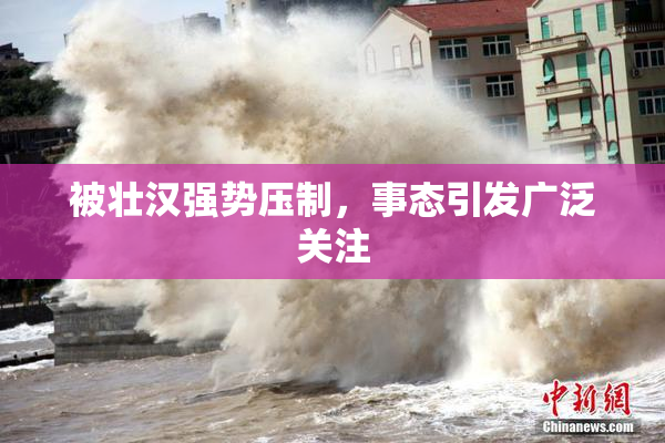 被壮汉强势压制，事态引发广泛关注