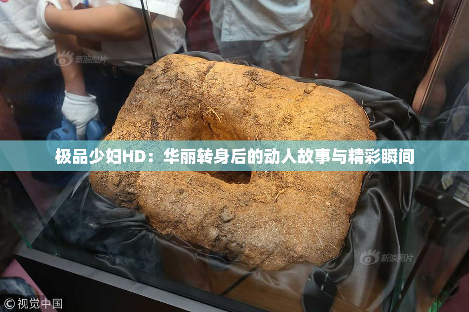 极品少妇HD：华丽转身后的动人故事与精彩瞬间