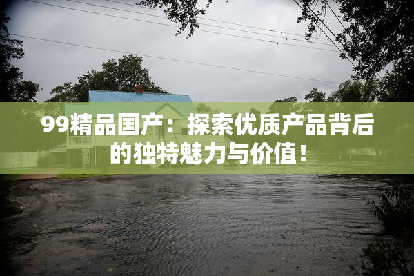 99精品国产：探索优质产品背后的独特魅力与价值！