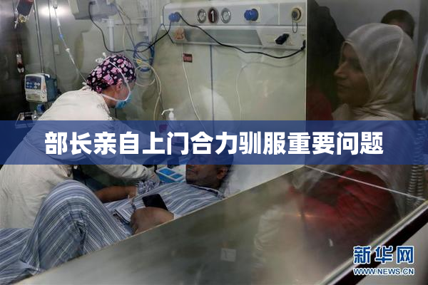 部长亲自上门合力驯服重要问题