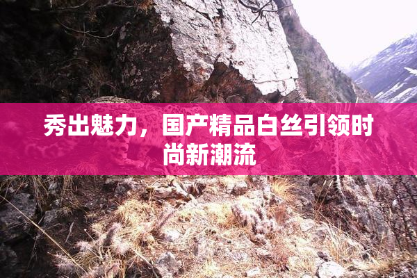 秀出魅力，国产精品白丝引领时尚新潮流