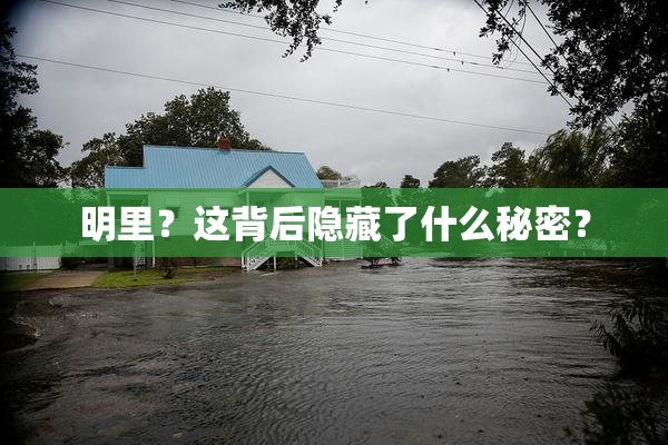 明里？这背后隐藏了什么秘密？