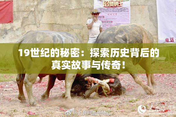 19世纪的秘密：探索历史背后的真实故事与传奇！