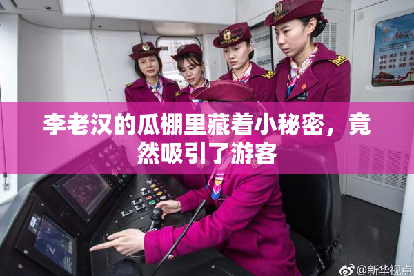 李老汉的瓜棚里藏着小秘密，竟然吸引了游客