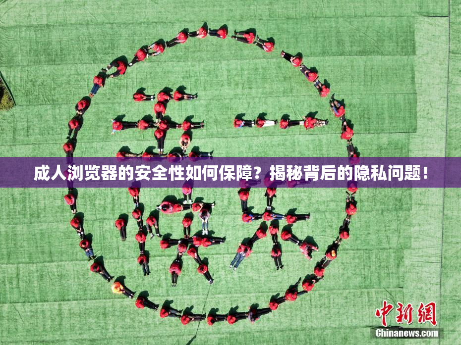 成人浏览器的安全性如何保障？揭秘背后的隐私问题！