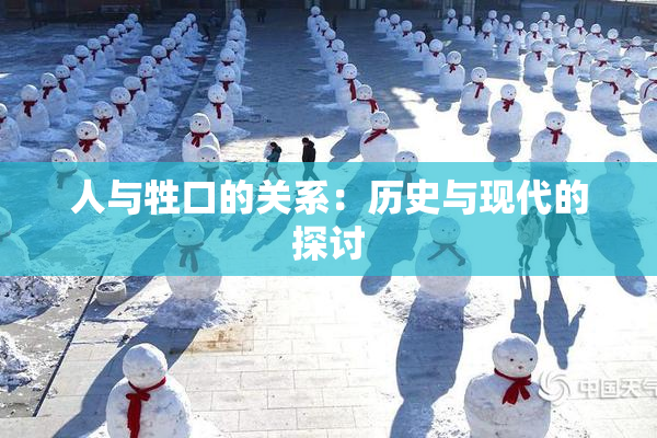 人与牲口的关系：历史与现代的探讨