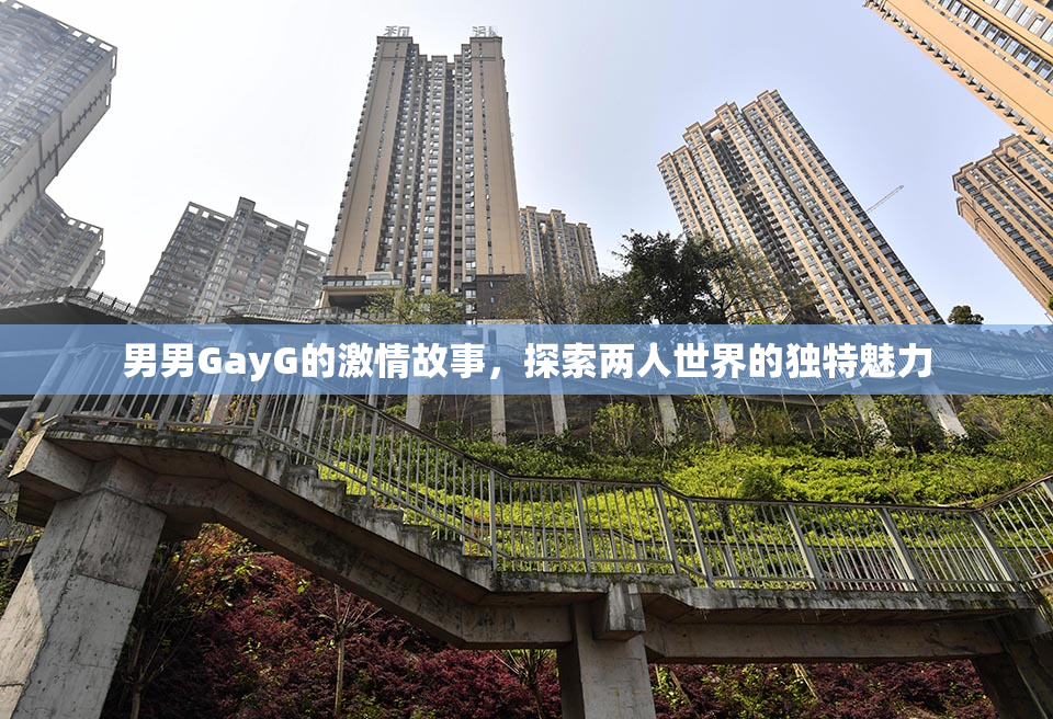 男男GayG的激情故事，探索两人世界的独特魅力