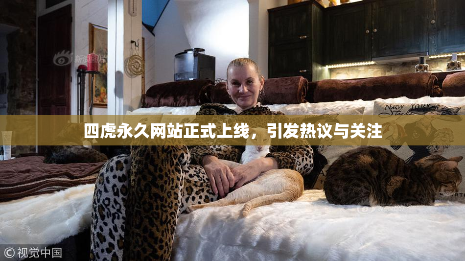 四虎永久网站正式上线，引发热议与关注