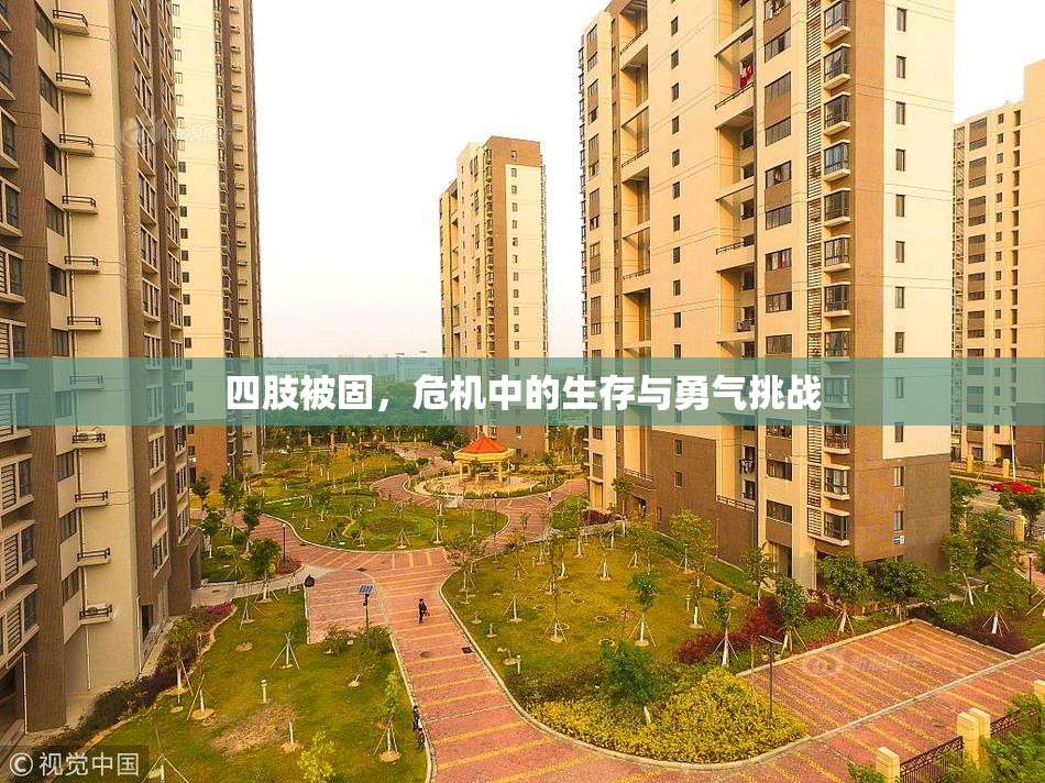 四肢被固，危机中的生存与勇气挑战