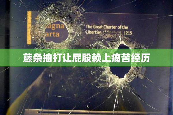 藤条抽打让屁股赖上痛苦经历