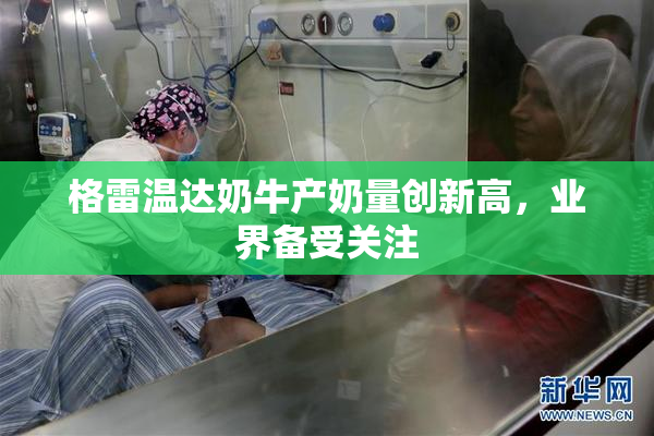 格雷温达奶牛产奶量创新高，业界备受关注