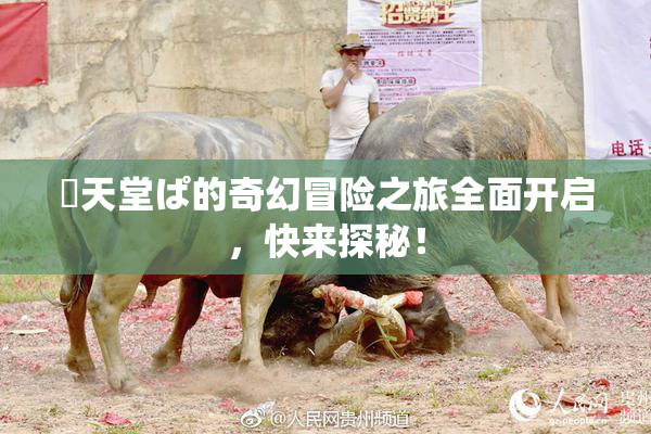 妺天堂ぱ的奇幻冒险之旅全面开启，快来探秘！