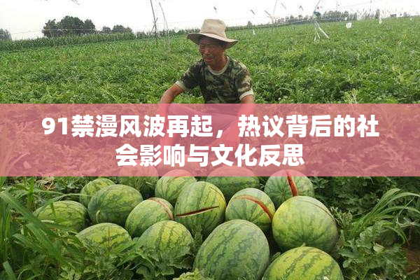 91禁漫风波再起，热议背后的社会影响与文化反思