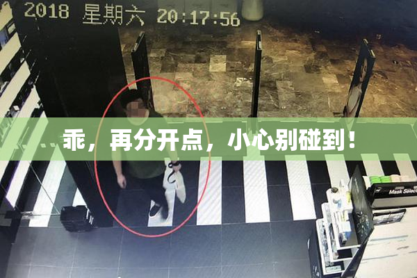乖，再分开点，小心别碰到！
