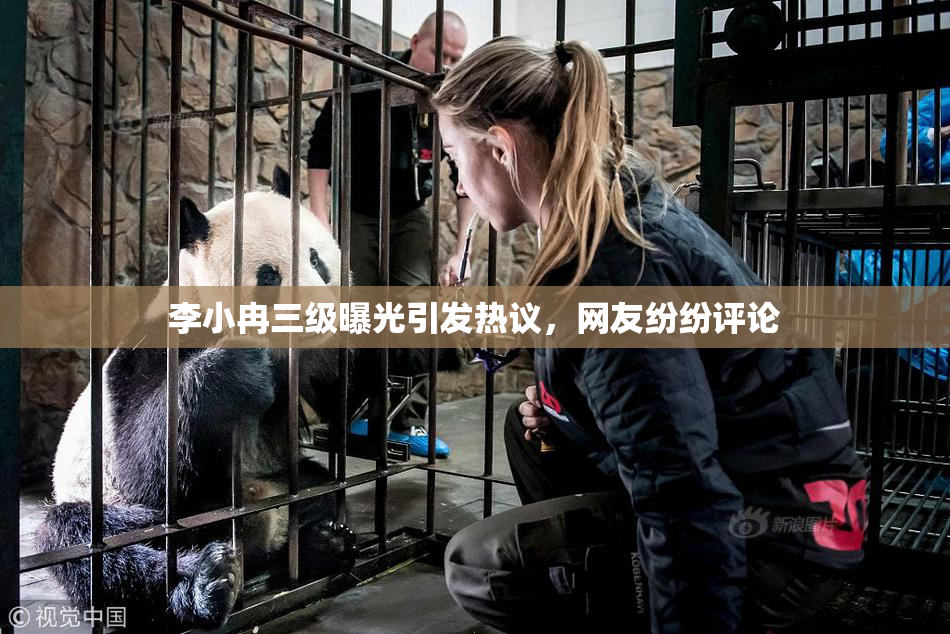 李小冉三级曝光引发热议，网友纷纷评论