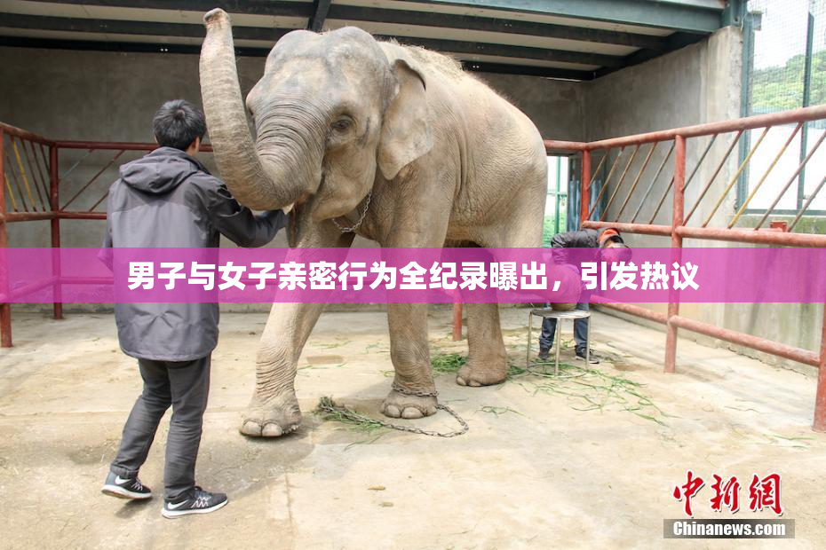 男子与女子亲密行为全纪录曝出，引发热议