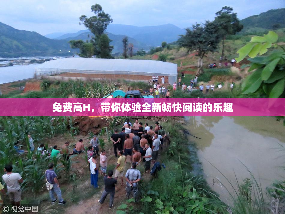 免费高H，带你体验全新畅快阅读的乐趣