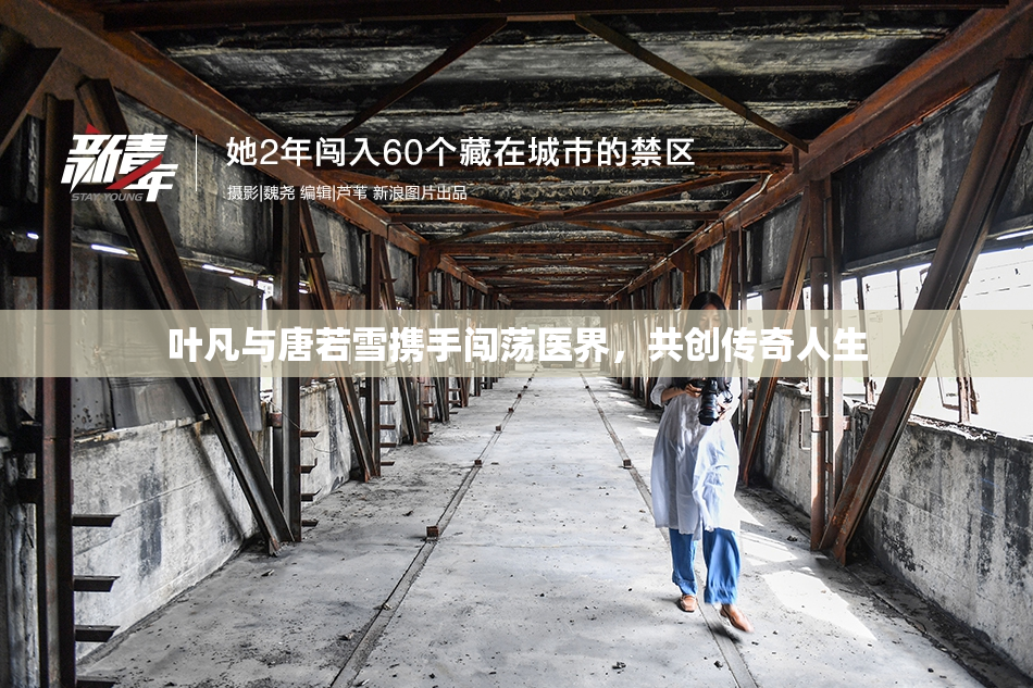 叶凡与唐若雪携手闯荡医界，共创传奇人生
