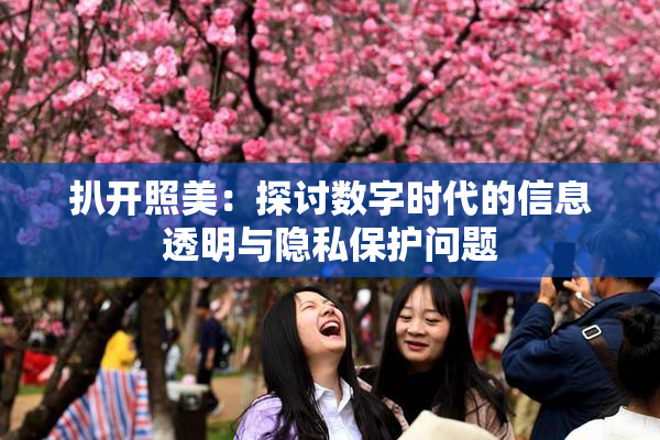 扒开照美：探讨数字时代的信息透明与隐私保护问题