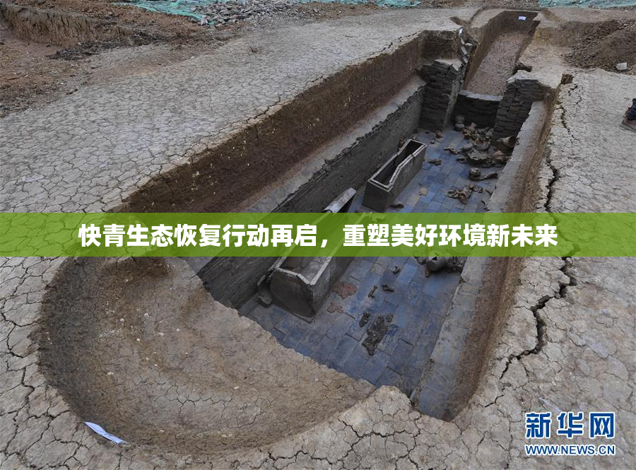 快青生态恢复行动再启，重塑美好环境新未来
