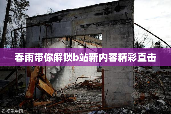 春雨带你解锁b站新内容精彩直击