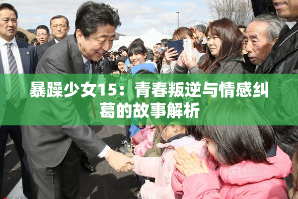暴躁少女15：青春叛逆与情感纠葛的故事解析