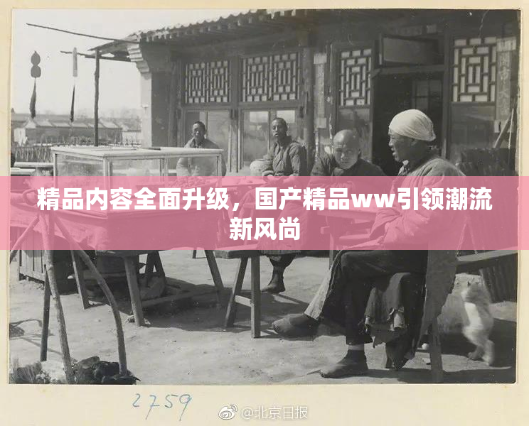 精品内容全面升级，国产精品ww引领潮流新风尚