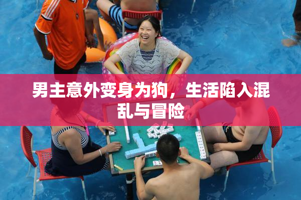 男主意外变身为狗，生活陷入混乱与冒险