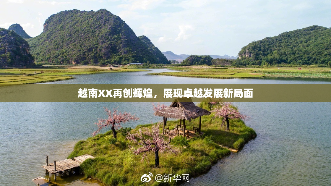 越南XX再创辉煌，展现卓越发展新局面
