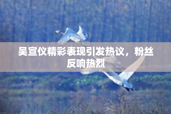 吴宣仪精彩表现引发热议，粉丝反响热烈