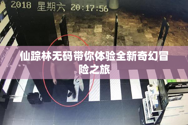 仙踪林无码带你体验全新奇幻冒险之旅