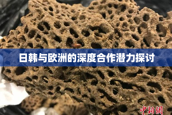 日韩与欧洲的深度合作潜力探讨