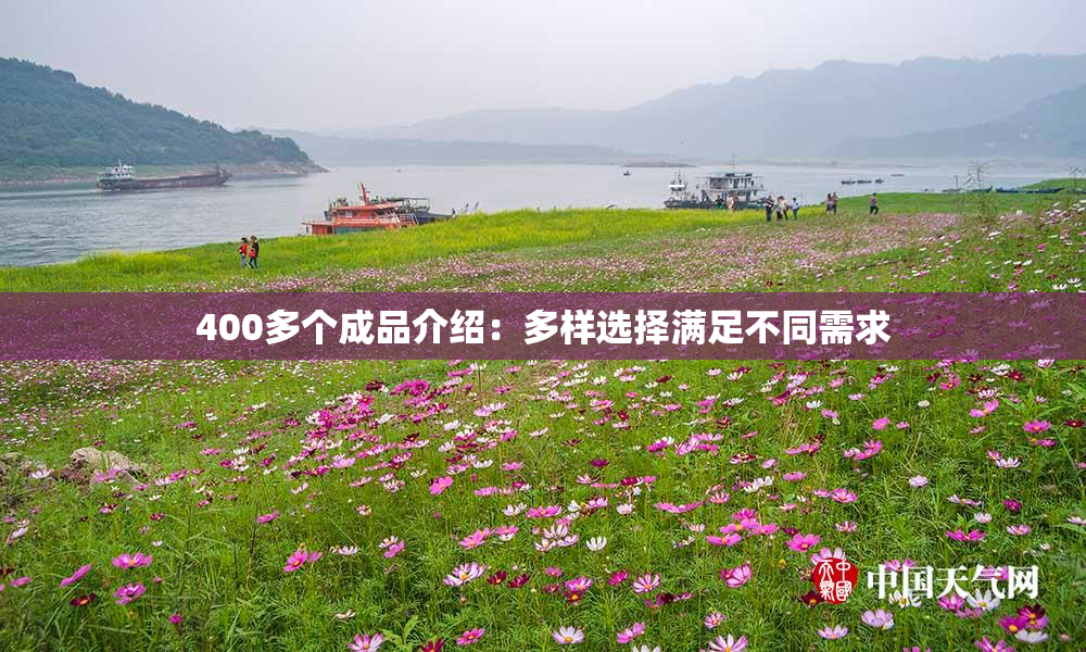 400多个成品介绍：多样选择满足不同需求