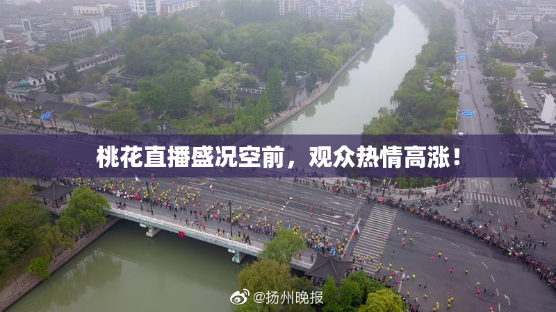桃花直播盛况空前，观众热情高涨！