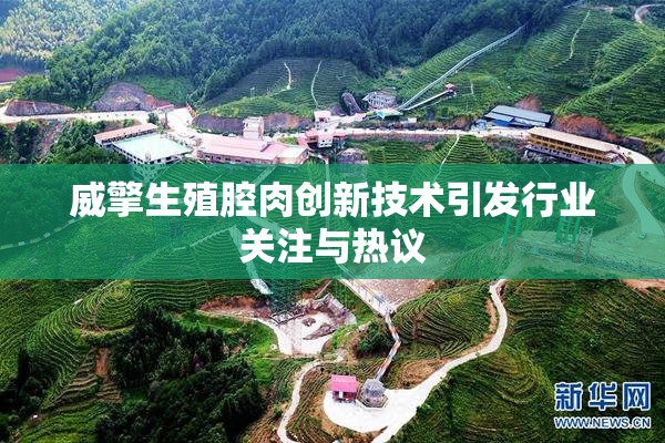 威擎生殖腔肉创新技术引发行业关注与热议