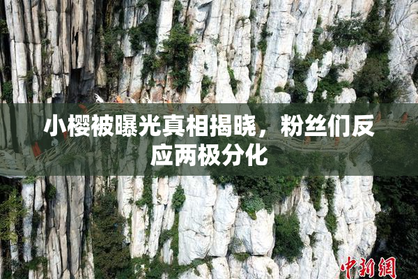 小樱被曝光真相揭晓，粉丝们反应两极分化