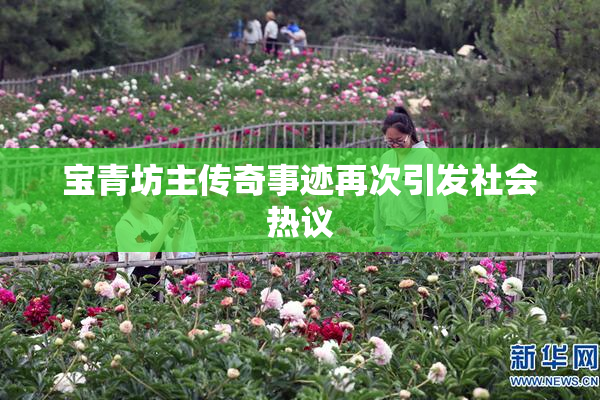宝青坊主传奇事迹再次引发社会热议