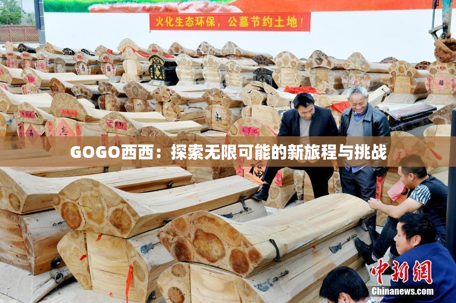 GOGO西西：探索无限可能的新旅程与挑战