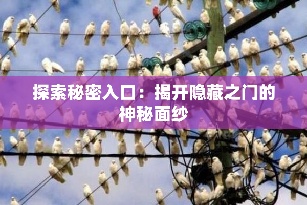 探索秘密入口：揭开隐藏之门的神秘面纱